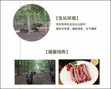 崔永元电商网坐商